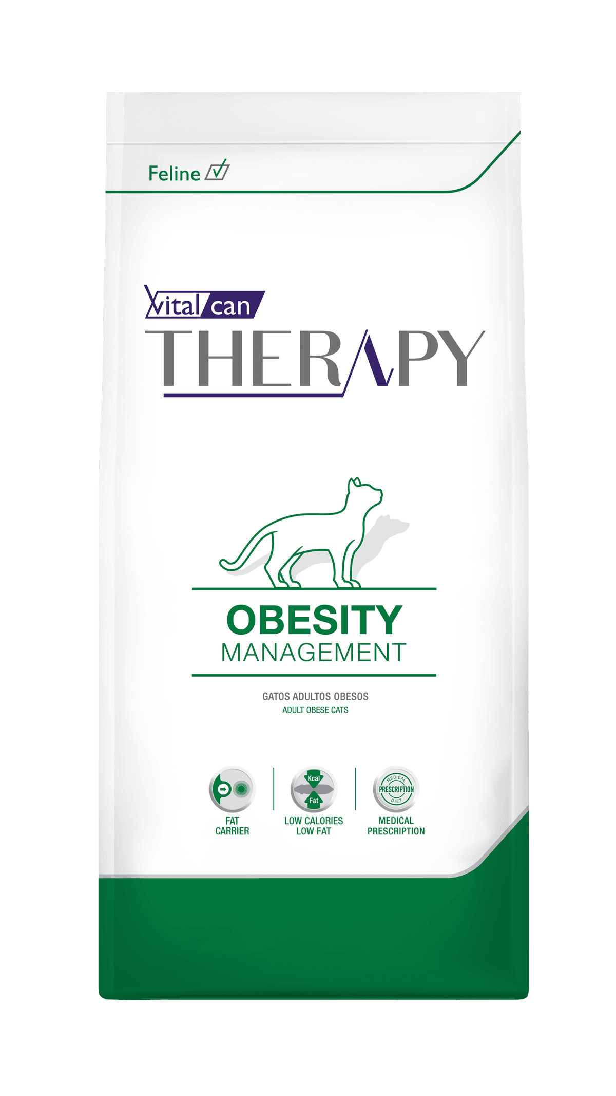 Therapy Gato Obesity