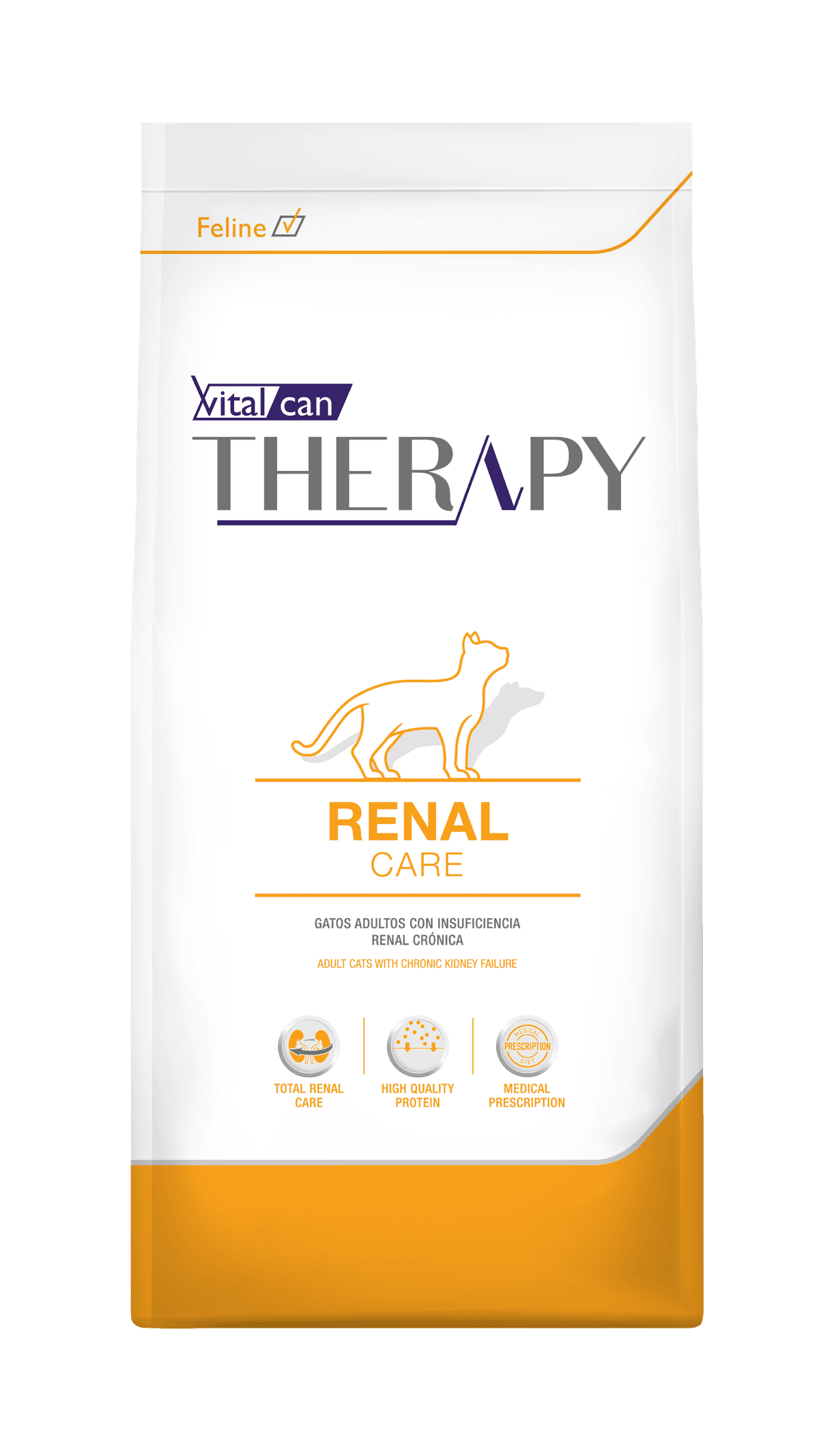Therapy Gato Renal